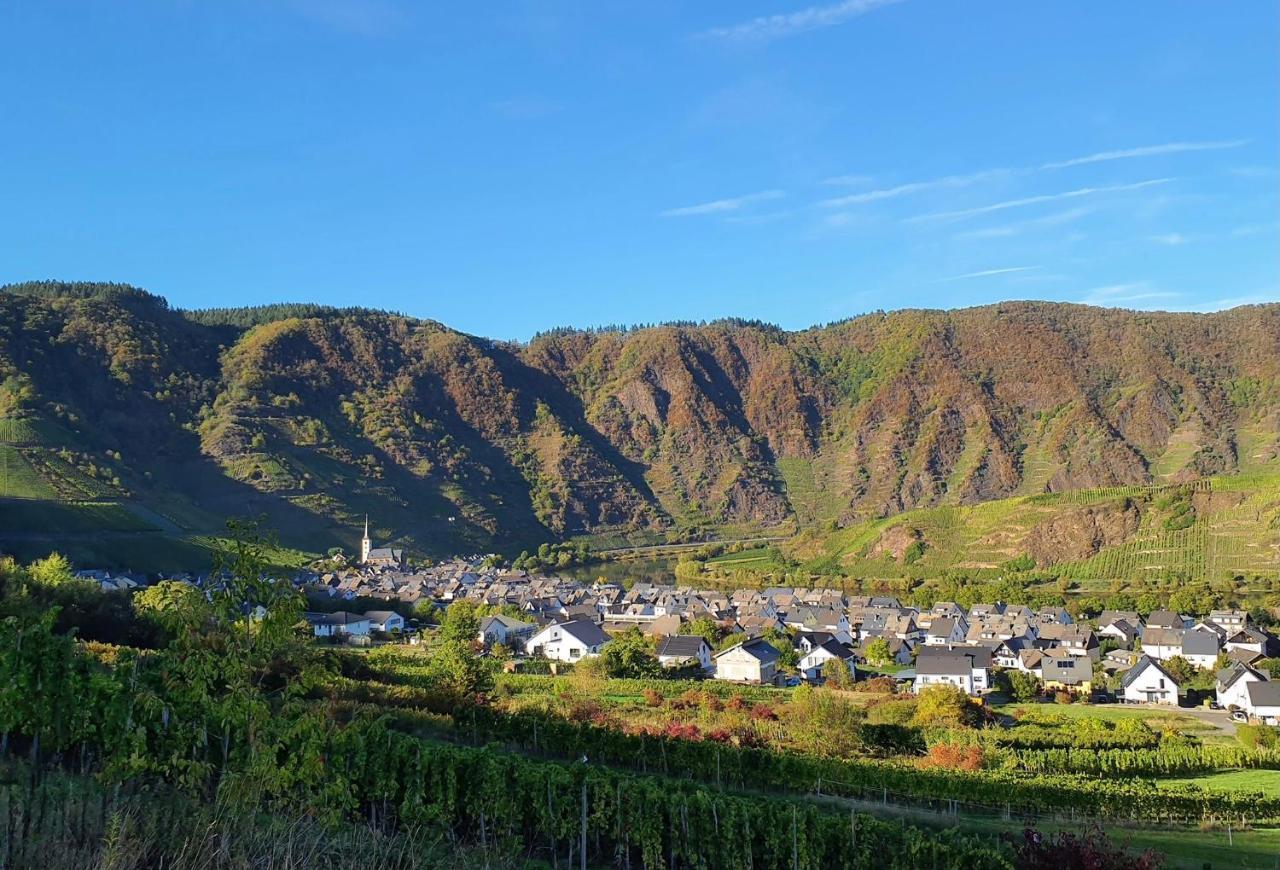 Attraktive Wohnung-Elztalidyll-Zwischen Mosel,Nuerburgring Und Burg Eltz Kollig المظهر الخارجي الصورة